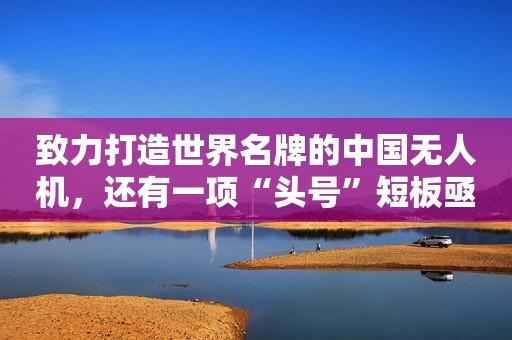 致力打造世界名牌的中国无人机，还有一项“头号”短板亟需补强
