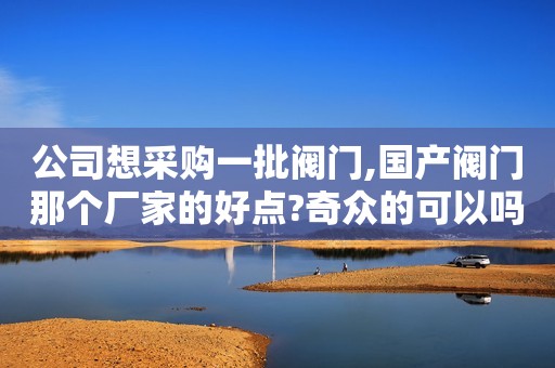 公司想采购一批阀门,国产阀门那个厂家的好点?奇众的可以吗?
