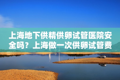 上海地下供精供卵试管医院安全吗？上海做一次供卵试管费用多少