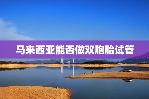 马来西亚能否做双胞胎试管