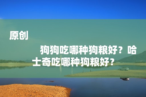 原创
            狗狗吃哪种狗粮好？哈士奇吃哪种狗粮好？