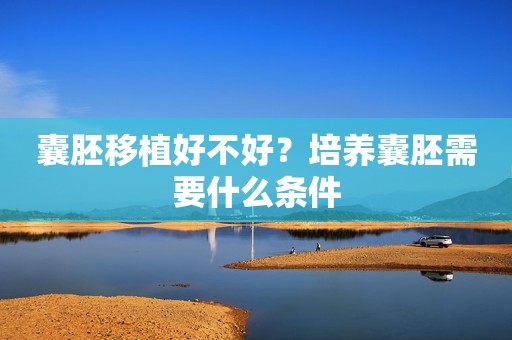 囊胚移植好不好？培养囊胚需要什么条件