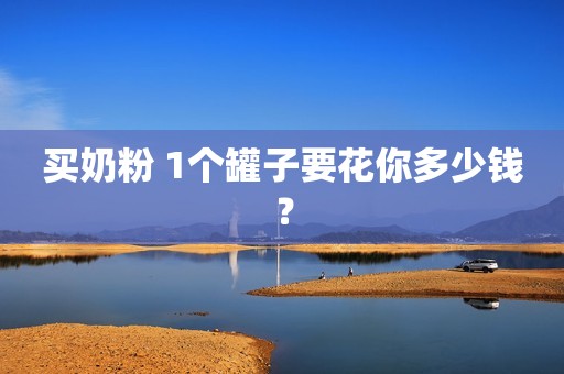 买奶粉 1个罐子要花你多少钱？