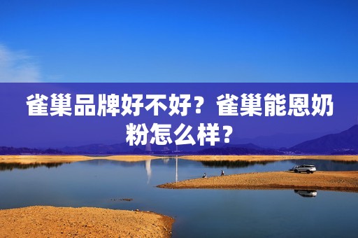 雀巢品牌好不好？雀巢能恩奶粉怎么样？