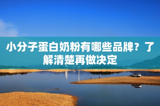 小分子蛋白奶粉有哪些品牌？了解清楚再做决定