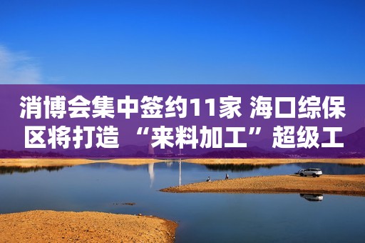 消博会集中签约11家 海口综保区将打造 “来料加工”超级工厂