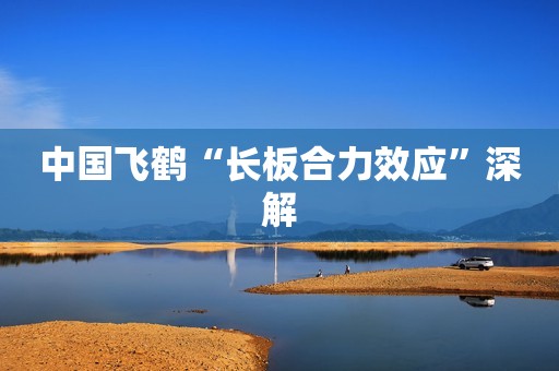 中国飞鹤“长板合力效应”深解