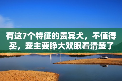 有这7个特征的贵宾犬，不值得买，宠主要睁大双眼看清楚了！