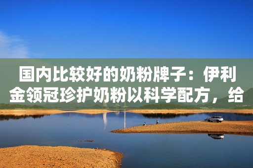 国内比较好的奶粉牌子：伊利金领冠珍护奶粉以科学配方，给予亿万妈妈品质保障