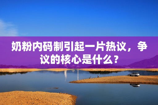 奶粉内码制引起一片热议，争议的核心是什么？
