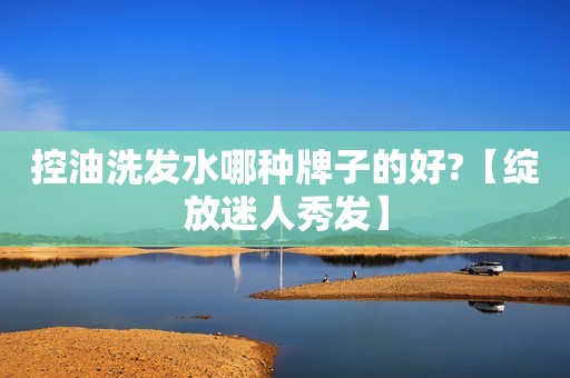 控油洗发水哪种牌子的好?【绽放迷人秀发】