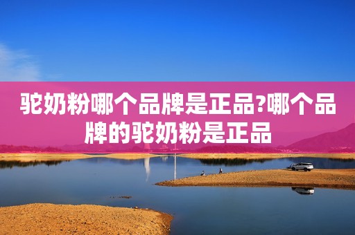 驼奶粉哪个品牌是正品?哪个品牌的驼奶粉是正品