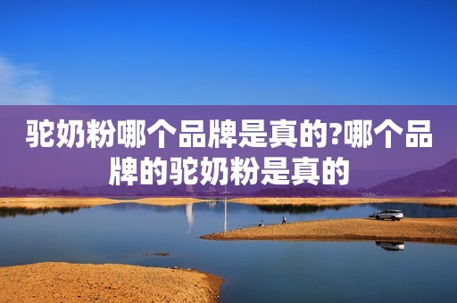 驼奶粉哪个品牌是真的?哪个品牌的驼奶粉是真的