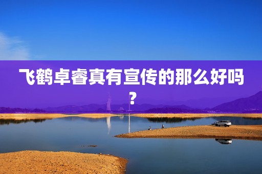 飞鹤卓睿真有宣传的那么好吗？
