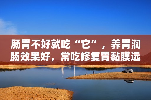 肠胃不好就吃“它”，养胃润肠效果好，常吃修复胃黏膜远离胃痛