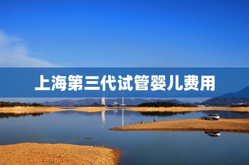 上海第三代试管婴儿费用