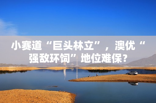 小赛道“巨头林立”，澳优“强敌环饲”地位难保？