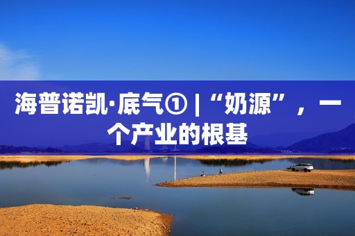 海普诺凯·底气① |“奶源”，一个产业的根基