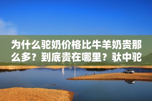 为什么驼奶价格比牛羊奶贵那么多？到底贵在哪里？驮中驼品牌驼奶粉
