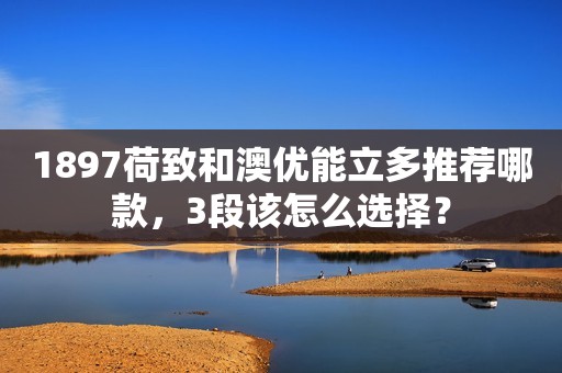 1897荷致和澳优能立多推荐哪款，3段该怎么选择？