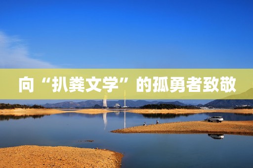 向“扒粪文学”的孤勇者致敬