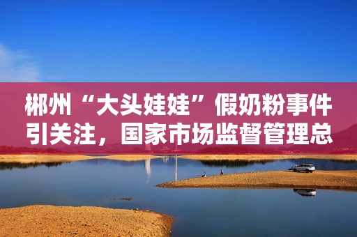 郴州“大头娃娃”假奶粉事件引关注，国家市场监督管理总局、湖南省政府先后回应：彻查