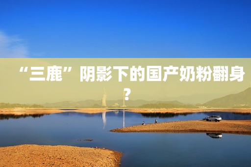 “三鹿”阴影下的国产奶粉翻身？