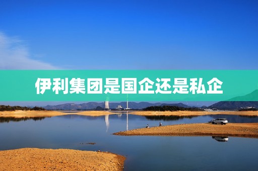 伊利集团是国企还是私企