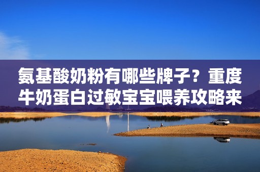 氨基酸奶粉有哪些牌子？重度牛奶蛋白过敏宝宝喂养攻略来了