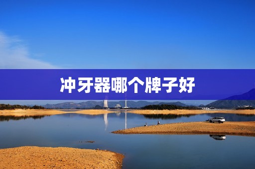 冲牙器哪个牌子好