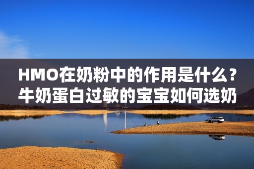 HMO在奶粉中的作用是什么？牛奶蛋白过敏的宝宝如何选奶粉？