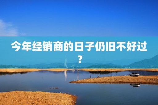 今年经销商的日子仍旧不好过？