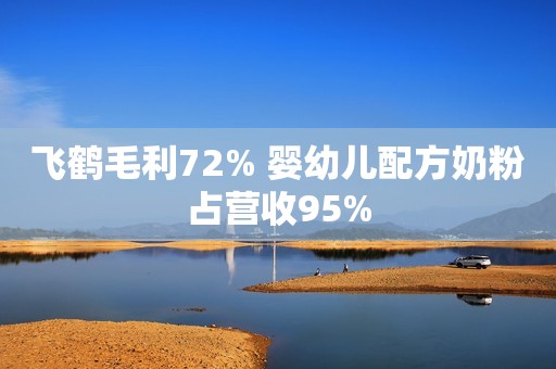 飞鹤毛利72% 婴幼儿配方奶粉占营收95%