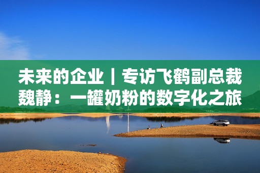 未来的企业｜专访飞鹤副总裁魏静：一罐奶粉的数字化之旅