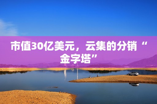 市值30亿美元，云集的分销“金字塔”