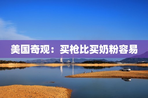 美国奇观：买枪比买奶粉容易