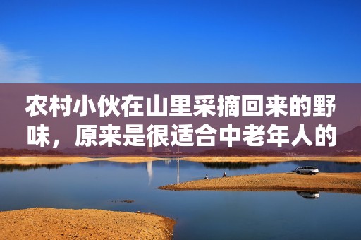 农村小伙在山里采摘回来的野味，原来是很适合中老年人的保健食品