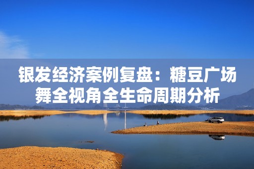 银发经济案例复盘：糖豆广场舞全视角全生命周期分析