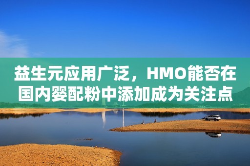 益生元应用广泛，HMO能否在国内婴配粉中添加成为关注点