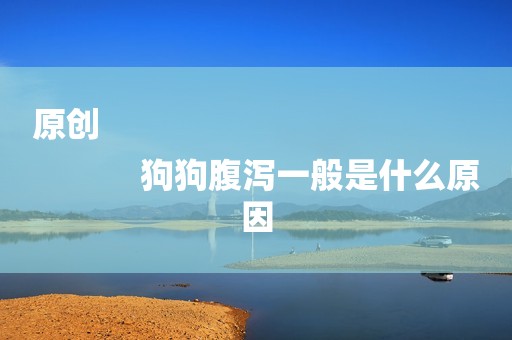 原创
            狗狗腹泻一般是什么原因