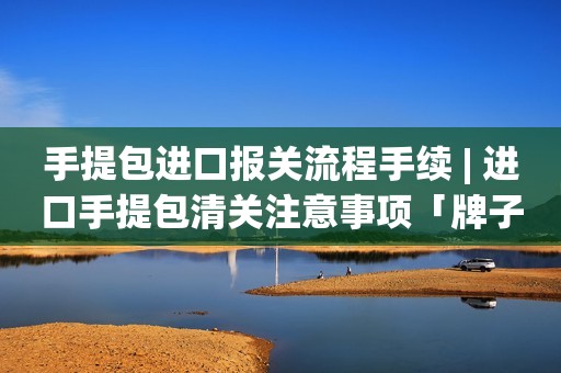 手提包进口报关流程手续 | 进口手提包清关注意事项「牌子货进口」