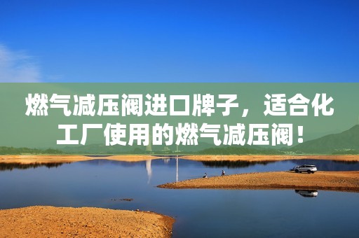 燃气减压阀进口牌子，适合化工厂使用的燃气减压阀！