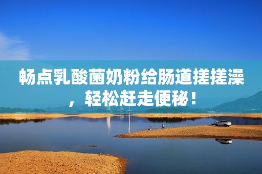 畅点乳酸菌奶粉给肠道搓搓澡，轻松赶走便秘！
