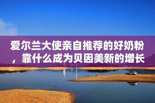爱尔兰大使亲自推荐的好奶粉，靠什么成为贝因美新的增长极？