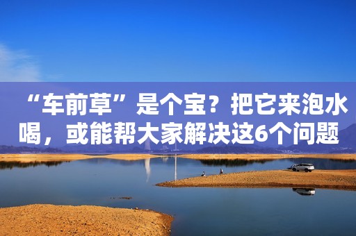 “车前草”是个宝？把它来泡水喝，或能帮大家解决这6个问题