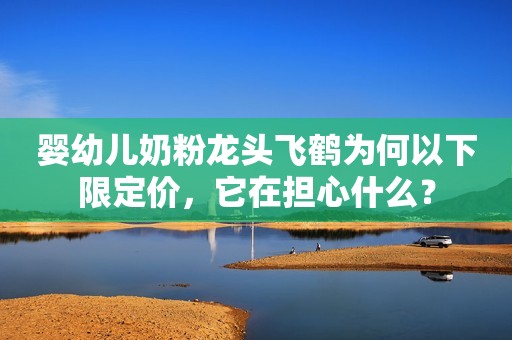 婴幼儿奶粉龙头飞鹤为何以下限定价，它在担心什么？