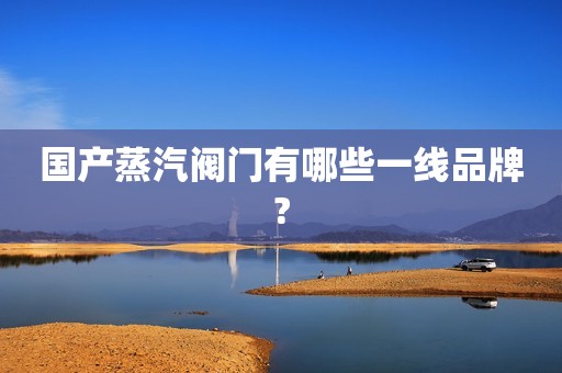 国产蒸汽阀门有哪些一线品牌?