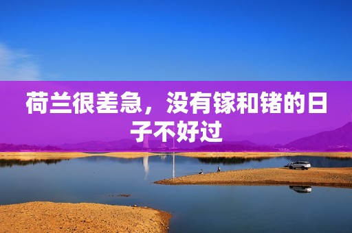 荷兰很差急，没有镓和锗的日子不好过