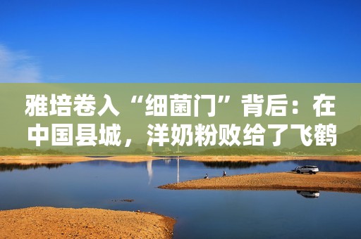 雅培卷入“细菌门”背后：在中国县城，洋奶粉败给了飞鹤们
