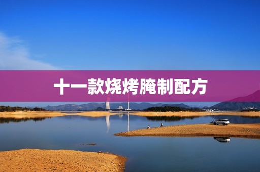 十一款烧烤腌制配方